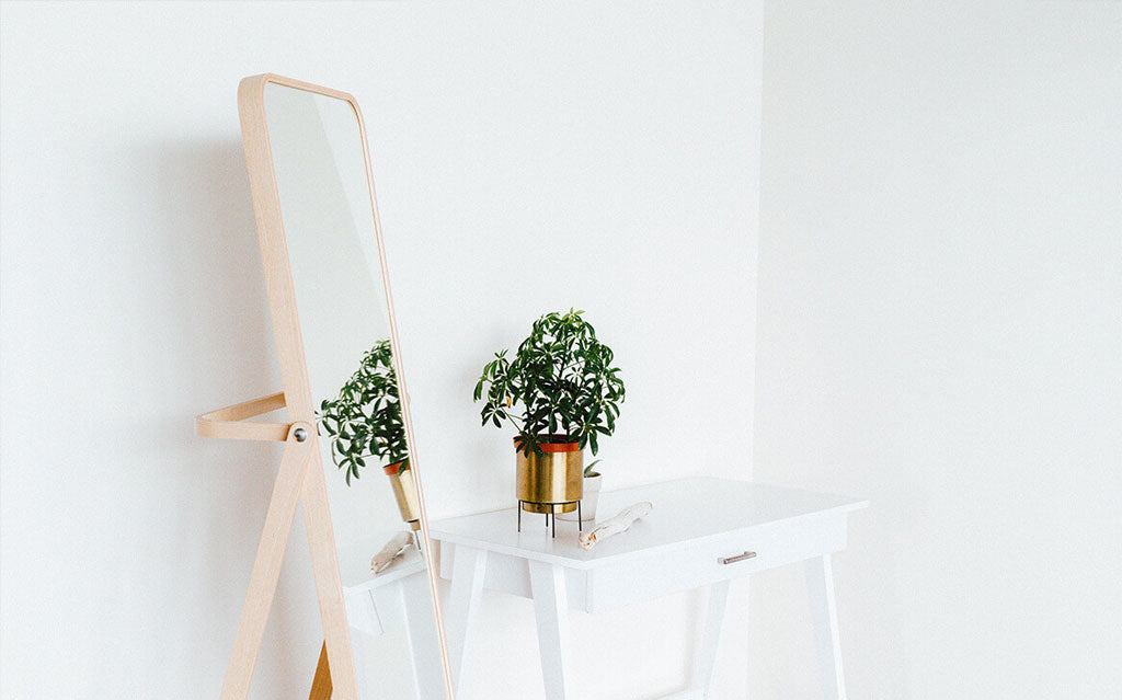 Plants help make your house more beautiful
